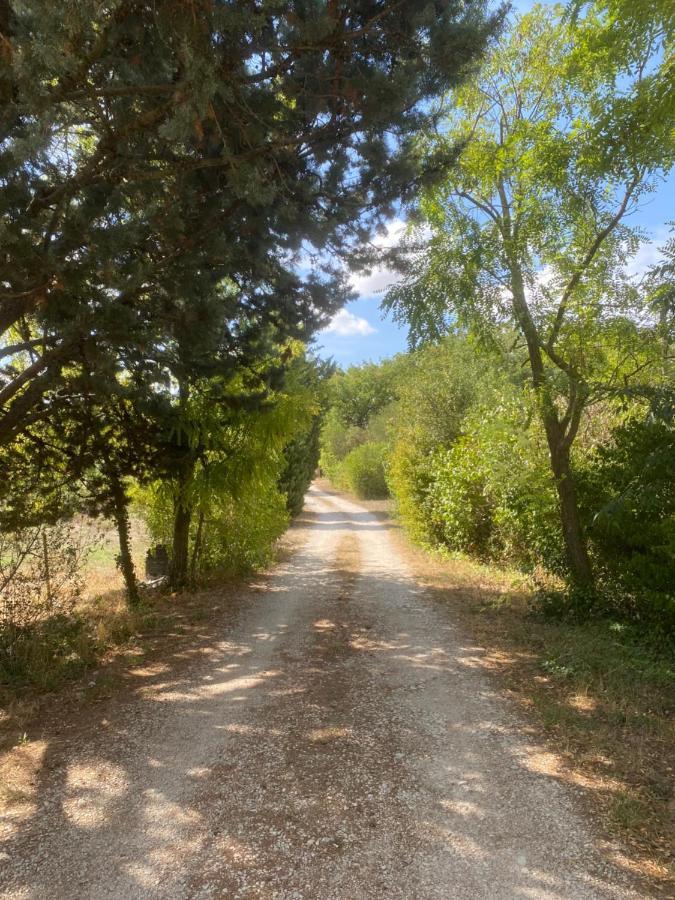 Chalet De Provence Aix-en-Provence Ngoại thất bức ảnh